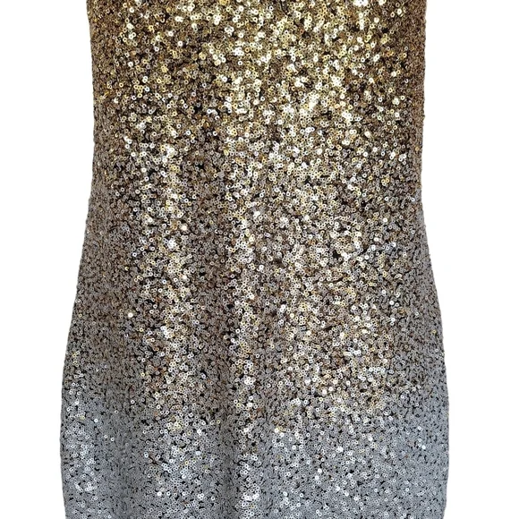 J. Crew Gwyneth Gold and Silver Ombr Sequin Slip Dress Women's Size 4 NWT J. Crew Gwyneth Gold and Silver Ombr Sequin Slip Dress Women's Size 4 NWT